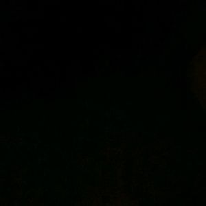 Meet your Posher, Larry